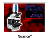Nuance �}���`�X�y�N�g���C���[�W���O�V�X�e��