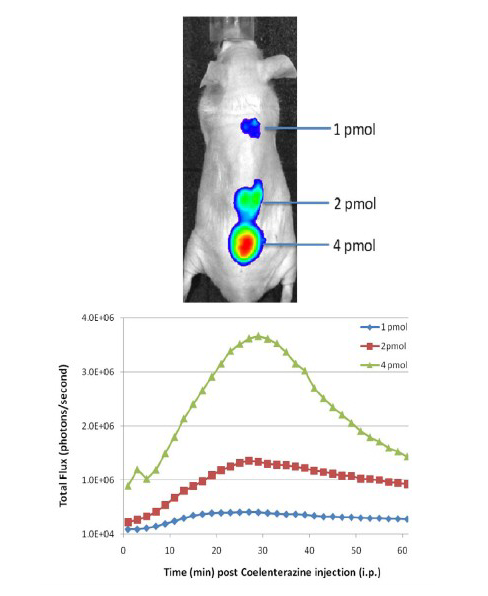 Figure 2.