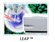LEAP �������זE�C���[�W���O�E���[�U�[�v���Z�V���O�V�X�e��