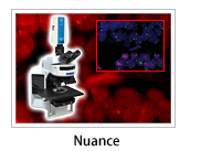 Nuance �}���`�X�y�N�g���C���[�W���O�V�X�e��