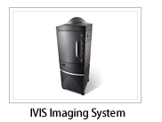 IVIS Imaging System �������x�����E�u��in vivo�C���[�W���O