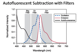 Autofluorescent Subtraction with Filters