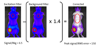 Autofluorescent Subtraction with Filters - Excitation Filter, Background Filter and Corrected