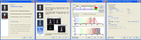 Living Image 4.0