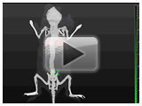 �N���b�N�œ�����Đ�