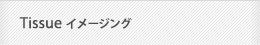 組織切片イメージング