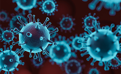 医薬品等安全性評価