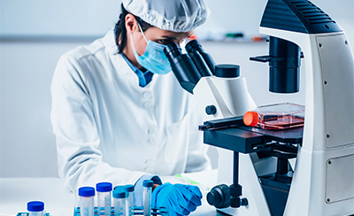 In vitroアッセイ