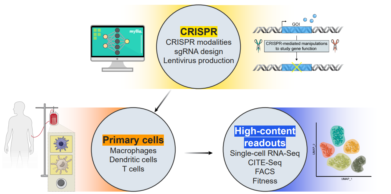 VISTA プラットフォーム