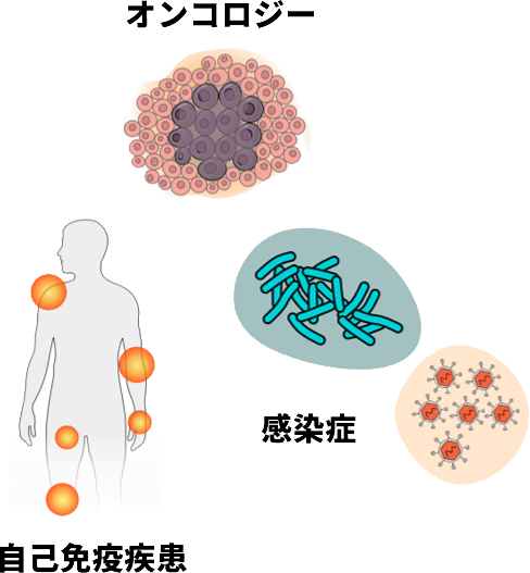プライマリー細胞でのスクリーニング 
