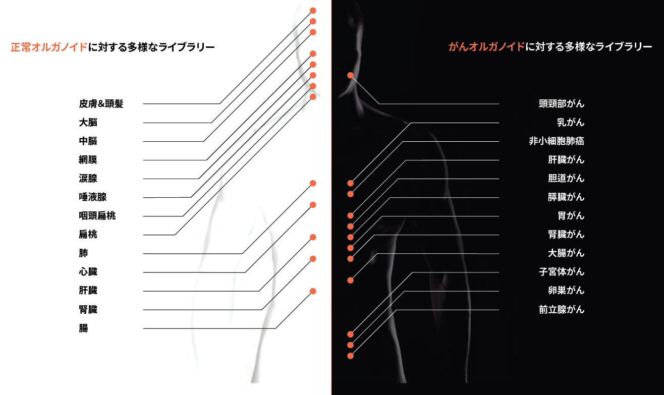 製品ラインナップ
