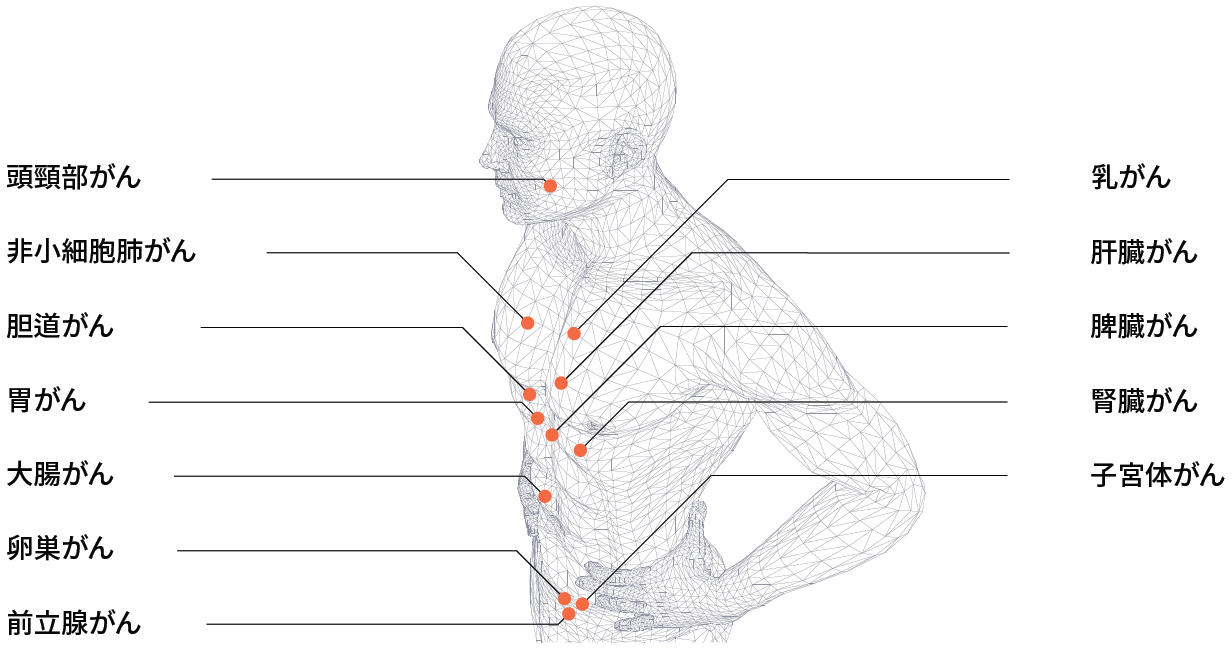 製品ラインナップ