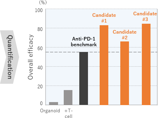 免疫チェックポイント阻害剤（Immune Checkpoint Inhibitor）の有効性評価例