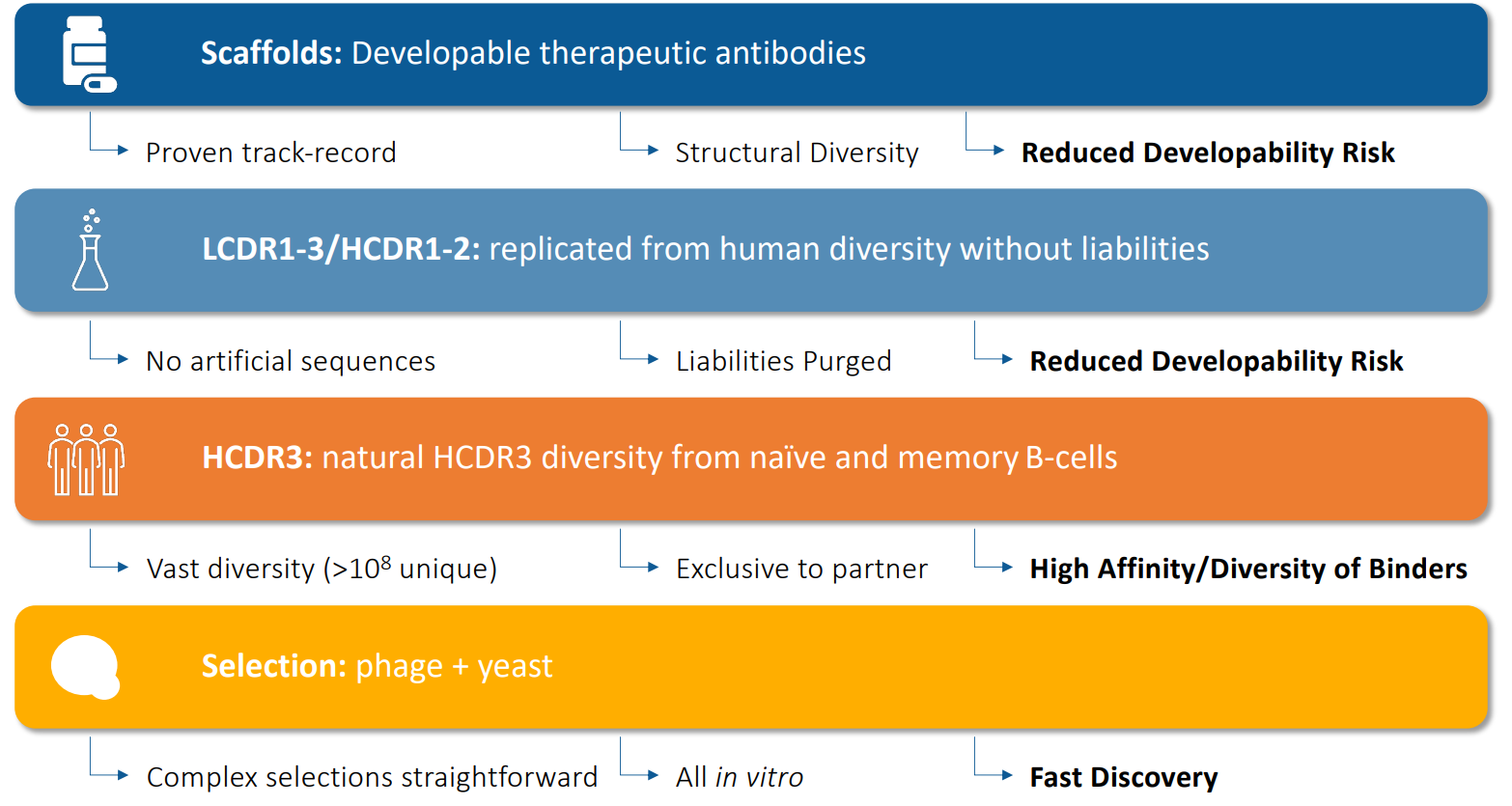 各プロジェクト専用の抗体ライブラリ構築