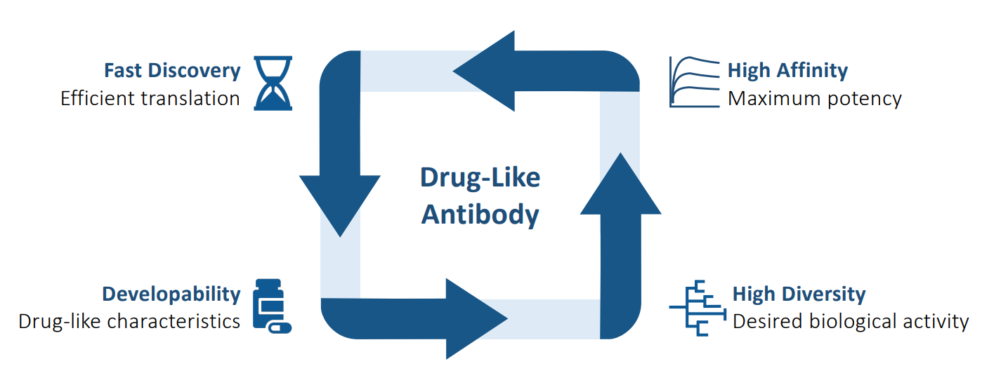 Antibody Discovery Campaign