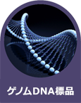 Genomic Microbiome Standard （ゲノム標品）