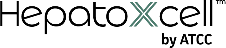 肝細胞シリーズ(HepatoXcell™)