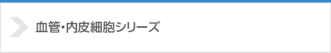 血管・内皮細胞系シリーズ