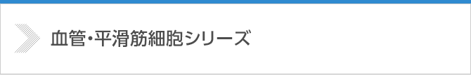 血管・平滑筋細胞系シリーズ