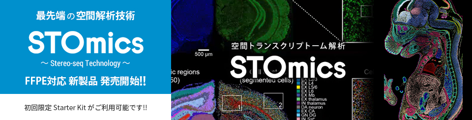 空間トランスクリプトーム解析技術「STOmics」