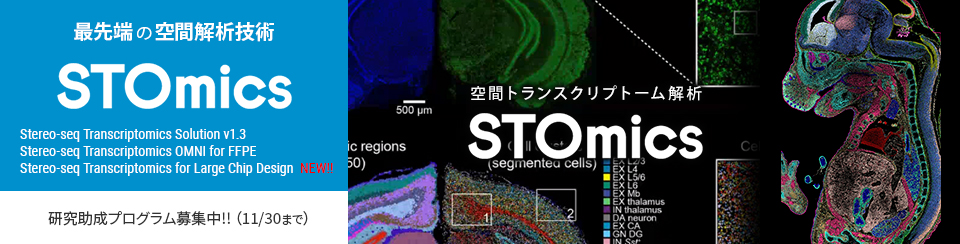 空間トランスクリプトーム解析技術「STOmics」