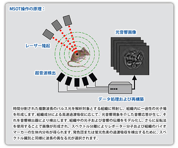 MSOT操作の原理：