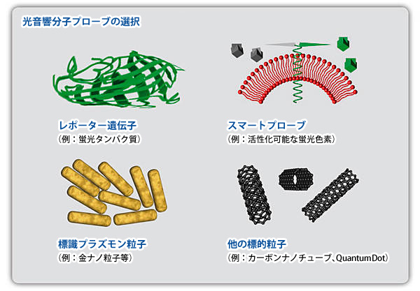 光音響分子プローブの選択