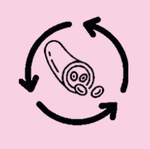 シアーストレス付与が可能な動的還流路