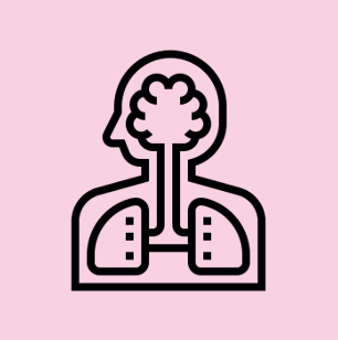 各種臓器モデル疾患モデル