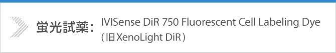 蛍光試薬：IVISense DiR 750 Fluorescent Cell Labeling Dye（旧XenoLight DiR）