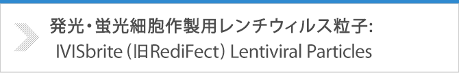 発光・蛍光細胞株作製用レンチウィルス粒子：IVISbrite（旧RediFect）Lentiviral Particles