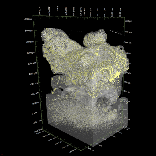 3D画像：えびの天ぷらの解析（油脂分布）