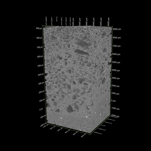 3D画像：アメリカンドッグの解析