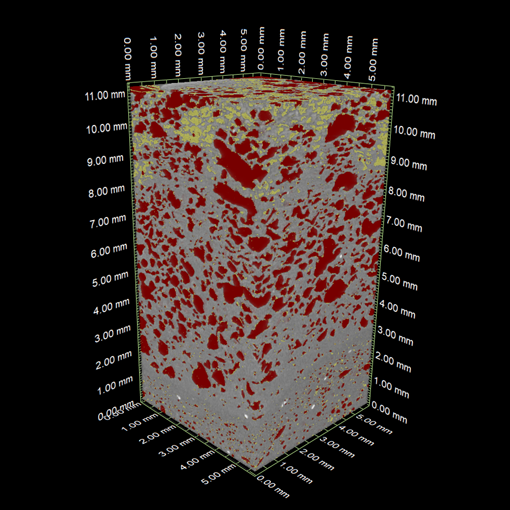 3D画像：アメリカンドッグの解析（油脂および気泡分布）