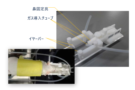 マウス頭部固定具