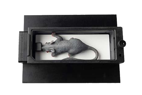 MIS Mouse Imaging Shuttle Kit