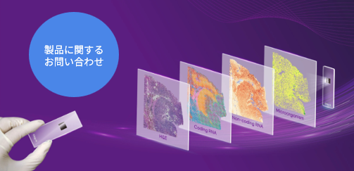 製品に関するお問い合わせ